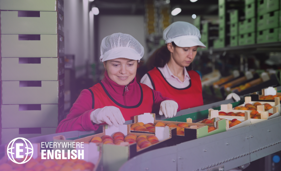 The Food Manufacturing Environment Is Unforgiving of Miscommunication
